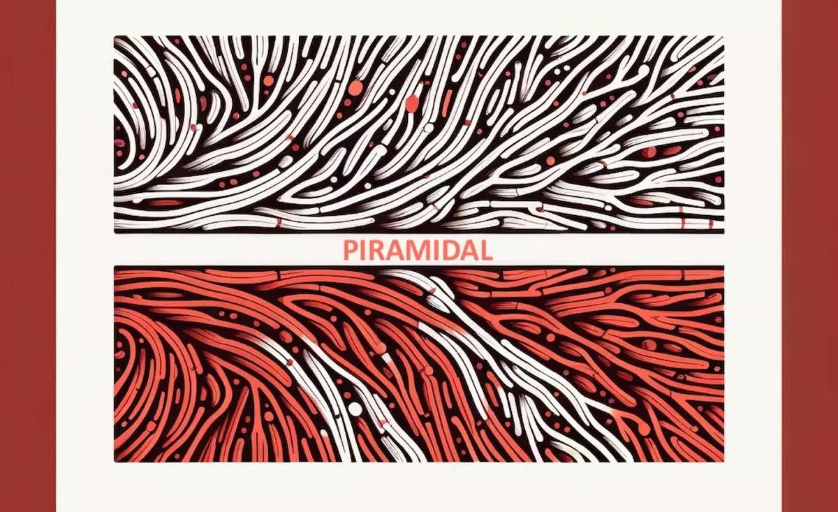 The Promise of Piramidal: Transforming Brain Scan Analysis with AI