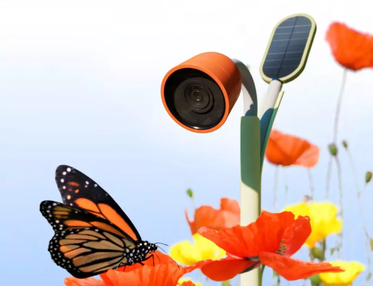 Innovative Connectivity: Exploring the Wonders of Smart Pollinator Products