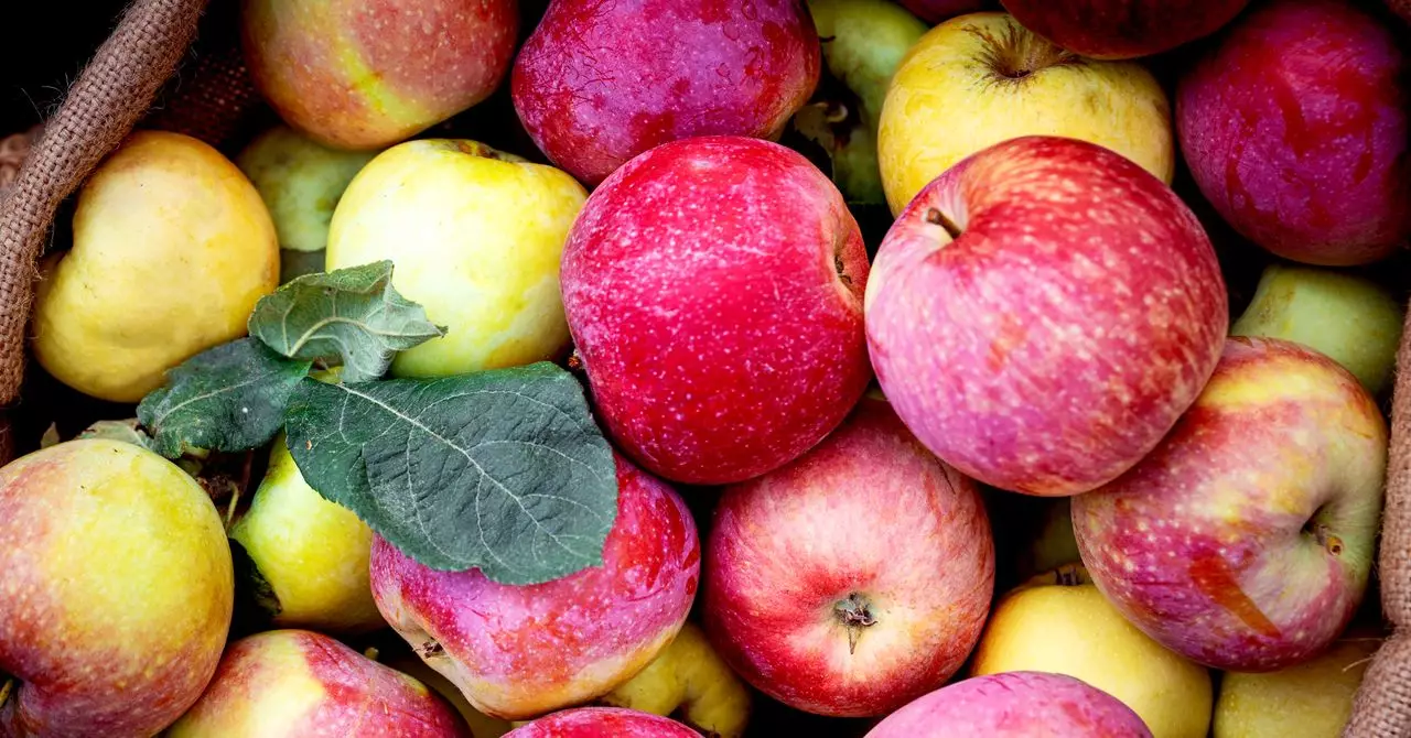 Revolutionizing Taste: The Apple Juice Dilemma in America
